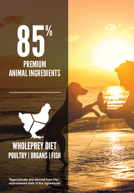 Orijen Dry Puppy Dry Dog Food, Puppy food, Food for puppies, Pet Essentials Warehouse