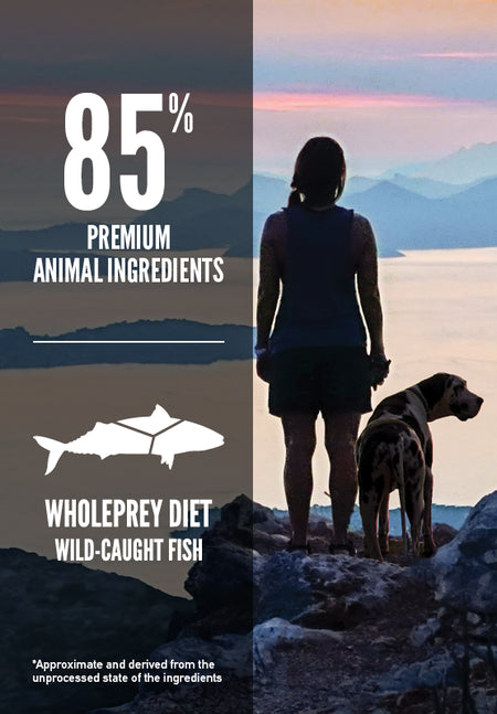 Orijen Six Fish Dry Dog Food Poster, Dog food, Pet Essentials Warehouse