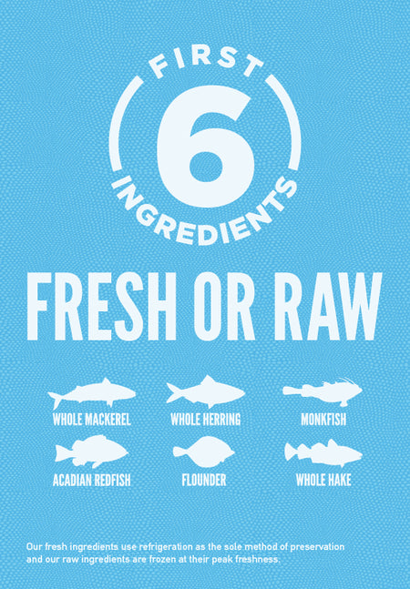 Orijen Six Fish Dry Dog Food, six fish dog food, Pet Essentials Warehouse