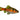 Odessa Red Striped Barb, Live Fish,  Barb,  Pet Essentials Warehouse.