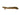 Ornate Bichir, Live Fish,  Bichir,  Pet Essentials Warehouse.