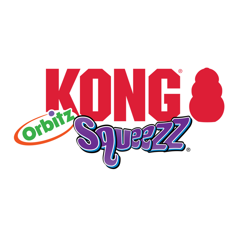 Kong Squeezz Orbitz Spin Top Squeaker Dog Toy