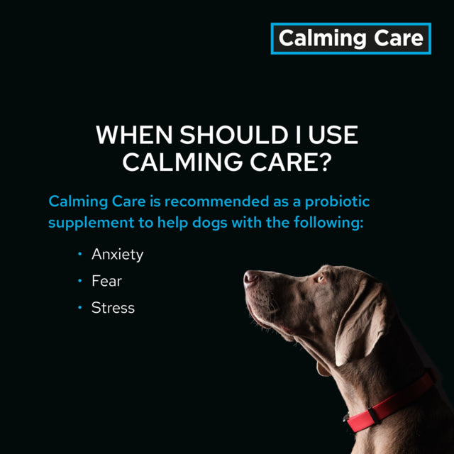 PRO PLAN Veterinary Diet Calming Care Canine Probiotic Supplement, Why to use calming care poster, helps with anxiety, helps with fear in dogs, pet Essentials Warehousee