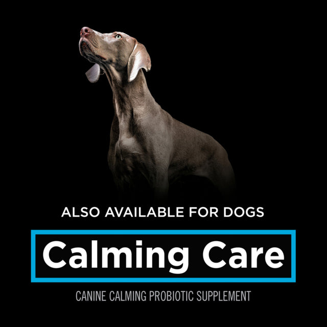 PRO PLAN Veterinary Diet Calming Care Feline Probiotic Supplement, Dog calming, Pet Essentials Warehouse