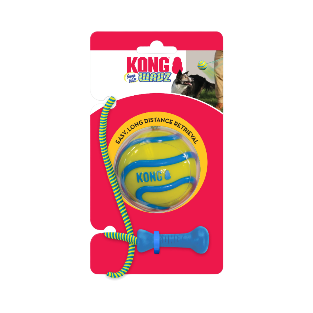 Kong Wavz dog toy, Kong Fetch Toy, Pet Essentials Warehouse