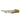 Peacock Eel, Live Fish,  Eel,  Pet Essentials Warehouse.