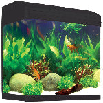 AquaStyle 620 Black Aquarium 150x150 pxl