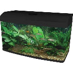 Aqua One AquaStyle 850 Black Tank 150 x 150 tank