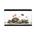Aqua One LifeStyle  76 Tank