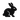Pet_Essentials_Warehouse_Black_Rabbit_Website_logo