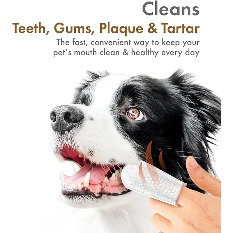 Petkin Fingertip tooth wipes Peanut Butter, Poster for dog dental, dog dental, Removes Tartar, Tartar control, Pet Essentials Warehouse
