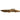 Polypterus Delhezi Armoured Bichir, Live Fish,  Bichir,  Pet Essentials Warehouse.