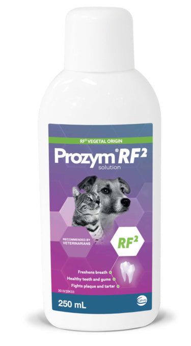 Prozym Solution, Dental Solutions for cats and dogs, Solutions for dental issues, Helps with breath in cats and dogs, Healthy gums and teeth in dogs and cats, Pet Essentials Warehouse