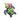 Kong Aloha Turtle Canvas Dog Toy, Kong,  Plush Toys,  Pet Essentials Warehouse.