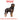Royal Canin Rottweiler Adult Dry Dog Food, Royal Canin,  Royal Canin Dry Biscuit,  Pet Essentials Warehouse.