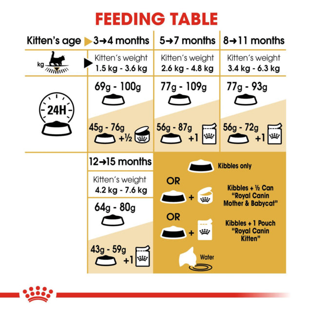 Royal Canin Maine Coon Kitten Dry Food, Maine coon Kitten food, Kitten food for Maine coon, Kitten food, pet Essentials Warehouse