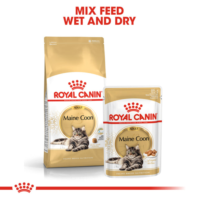 Royal Canin Maine Coon Adult Wet Cat Food