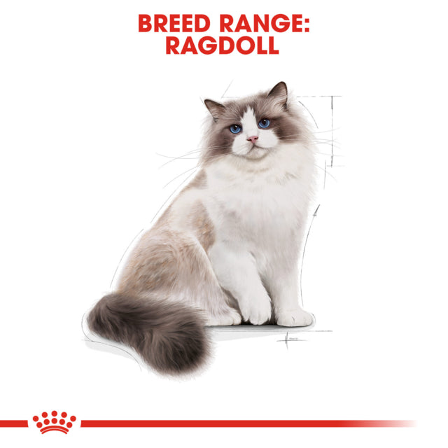 Royal Canin Ragdoll Adult Dry Cat Food, Ragdoll cat food, food for Ragdolls, Adult Ragdoll, Pet Essentials Warehouse