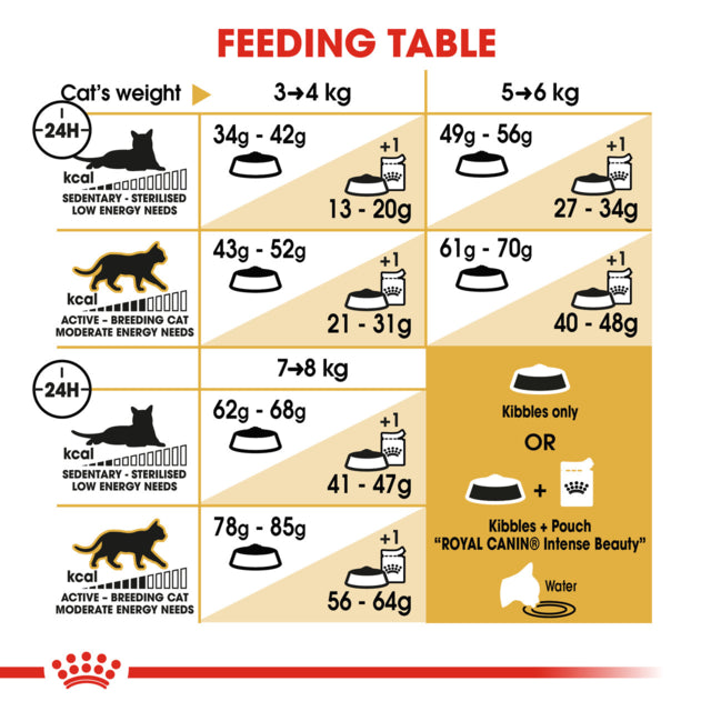 Royal Canin Ragdoll Adult Dry Cat Food, Ragdoll cat food, food for Ragdolls, Adult Ragdoll, Pet Essentials Warehouse