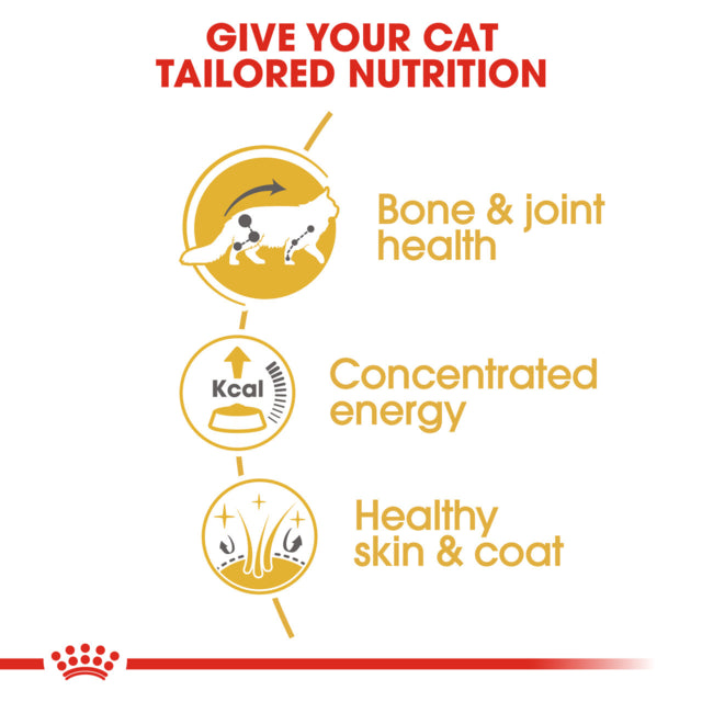 Royal Canin Maine Coon Adult Wet Cat Food