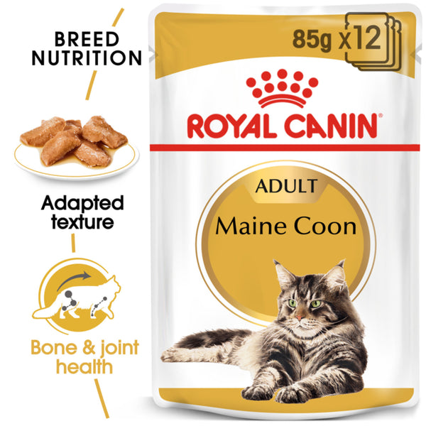 Royal Canin Maine Coon Adult Wet Food