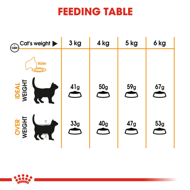 Royal Canin Hair & Skin Care Dry Cat Food, Hair and Skinf for cats, Helps with hair and skin for cats, Royal Canin Cat food, Pet Essentials Warehouse