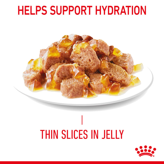 Royal Canin Appetite Control Jelly Adult Wet Cat Food, Royal Canin, Appetite Control for cats, Royal Canin, Pet Essentials Warehouse