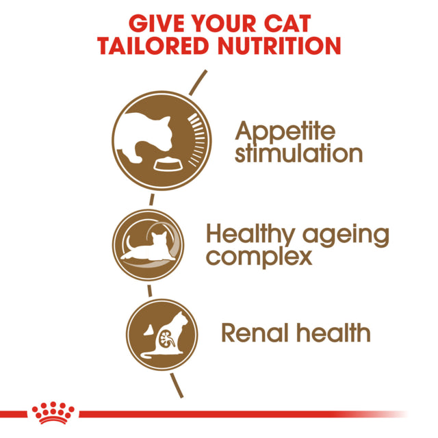 Royal Canin Ageing 12+, Aging cat food, Cat food for senior cats, Old cat, cat food, 12 years plus cat food, Pet Essentials Warehouse, poster for royal canin