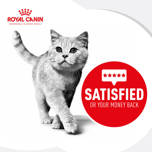 Royal Canin Ageing 12+, Aging cat food, Cat food for senior cats, Old cat, cat food, 12 years plus cat food, Pet Essentials Warehouse, poster for royal canin