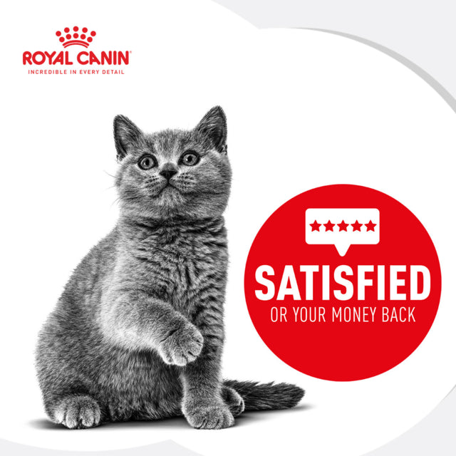 Royal Canin Persian Kitten, Royal Canin Kitten food, Persian Kitten food, Pet Essentials Warehouse