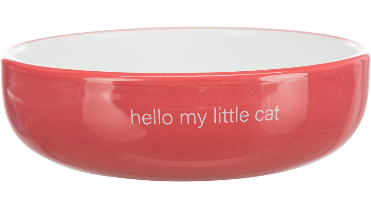  cat bowl with "hello my little cat", Pet Essentials warehouse