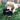 Kong Comfort Kiddos Bear Dog Toy, Kong,  Plush Toys,  Pet Essentials Warehouse.