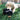 Kong Comfort Kiddos Bear Dog Toy, Kong,  Plush Toys,  Pet Essentials Warehouse.