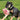 Kong Phatz Pig Dog Toy, Kong,  Plush Toys,  Pet Essentials Warehouse.