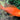 Red-Eye Dragonblood Peacock, Live Fish,  African Cichlids,  Pet Essentials Warehouse.