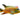 Red Hump Geophagus, Live Fish,  African Cichlids,  Pet Essentials Warehouse.