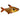 Red Phantom Tetra, Live Fish,  Tetra,  Pet Essentials Warehouse.