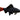 Red Tail Black Shark, Live Fish,  Shark,  Pet Essentials Warehouse.