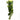 Reptile One Hanging Varigated Ivy Cascading Plant 72cm