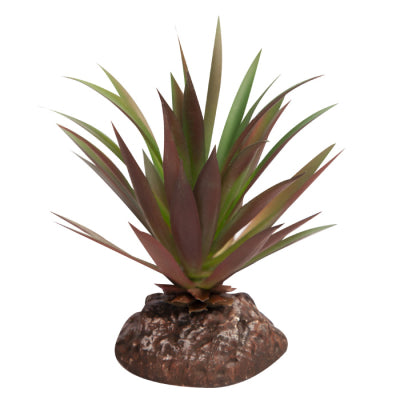 Reptile One Plant Mini Crassula Green Red With Ceramic Base, Reptile plants, Pet Essentials Warehouse
