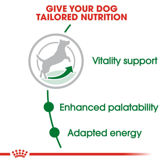 Royal Canin Dog Mini Adult 8+, Helps older dogs, Pet Essentials Warehouse