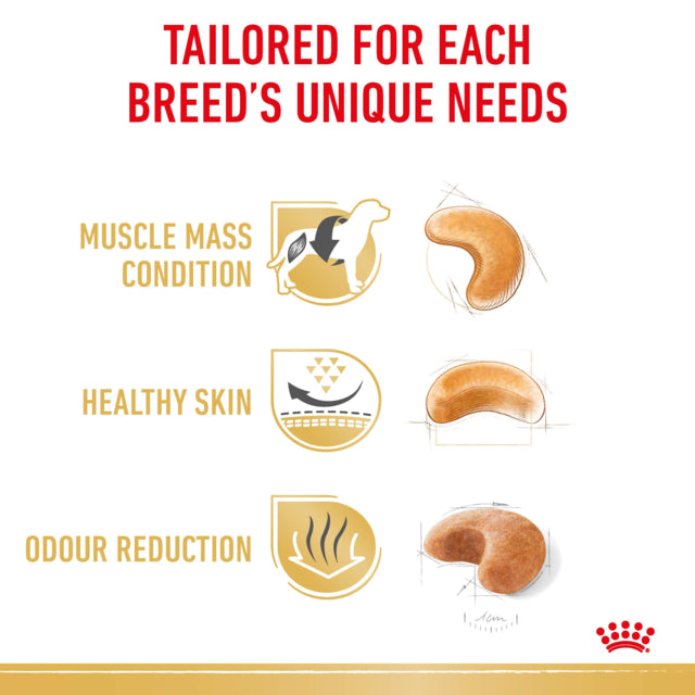 Royal Canin French Bulldog Adult Dry Dog Food biscuit size, pet essentials warehouse