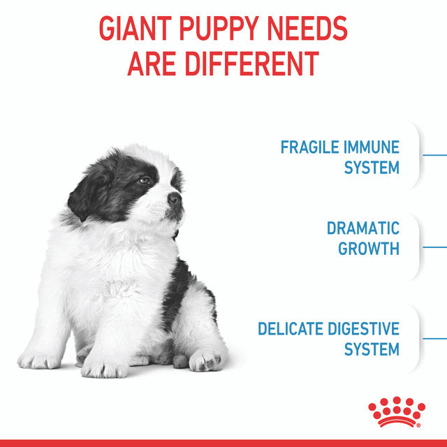 Royal Canin Giant Puppy digestive poster, pet essentials warehouse