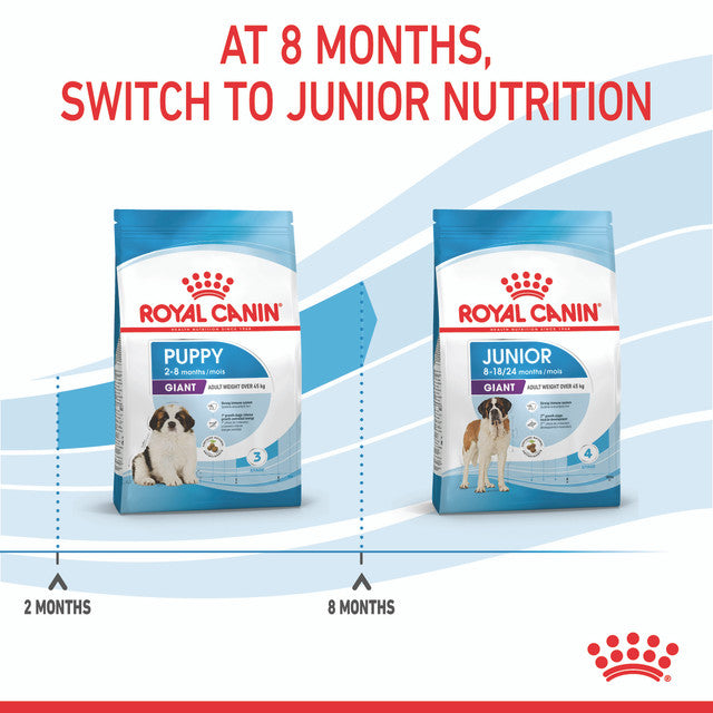 Royal Canin Giant Puppy transition poster, pet essentials warehouse