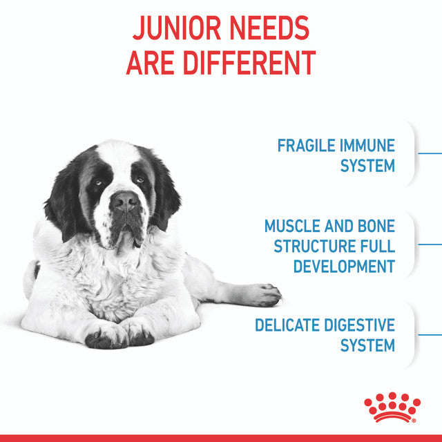 Royal Canin junior giant poster, pet essentials warehouse