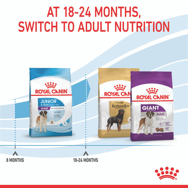 Royal Canin Giant Junior feeding post, pet essentials warehous