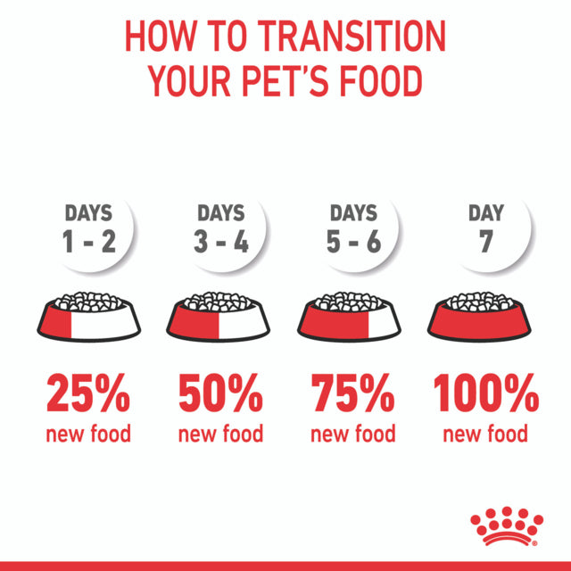 Royal Canin Kitten Dry Cat Food, Kitten Dry Food, Food for Kittens, Royal Canin Kitten food, Pet Essentials Warehouse