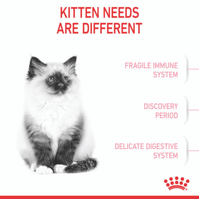 Royal Canin Kitten Dry Cat Food, Kitten Dry Food, Food for Kittens, Royal Canin Kitten food, Pet Essentials Warehouse