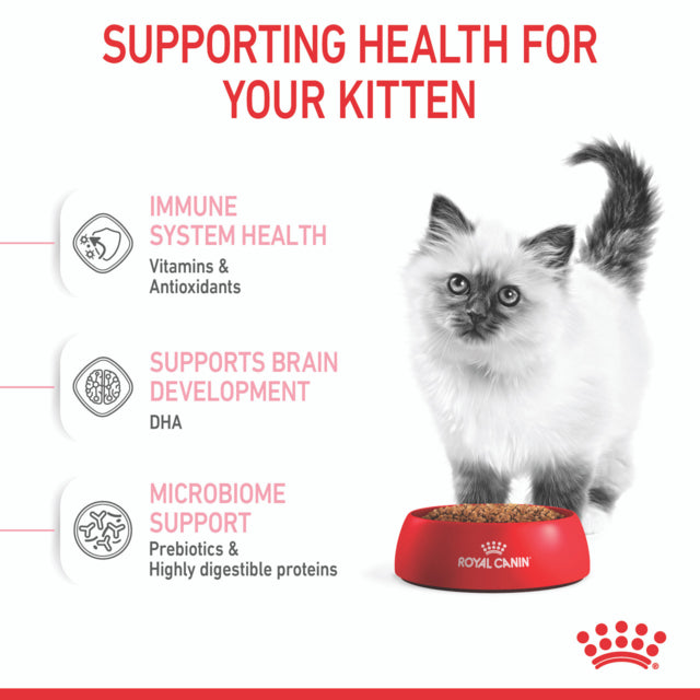 Royal Canin Kitten Dry Cat Food, Kitten Dry Food, Food for Kittens, Royal Canin Kitten food, Pet Essentials Warehouse