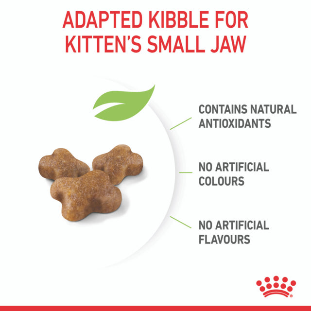 Royal Canin Kitten Dry Cat Food, Kitten Dry Food, Food for Kittens, Royal Canin Kitten food, Pet Essentials Warehouse